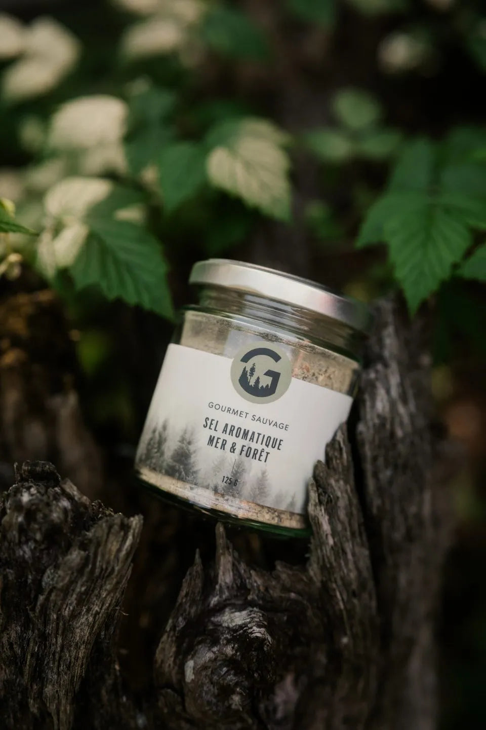 Sel aromatique sauvage Gourmet Sauvage en utilisation dans un décor naturel du Québec, ambiance forêt et plein air mettant en valeur un assaisonnement authentique et riche en saveurs
