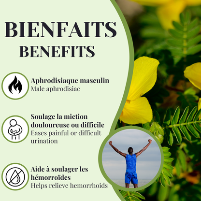Tribulus Terrestris | Soutien androgénique & urinaire | 90 capsules