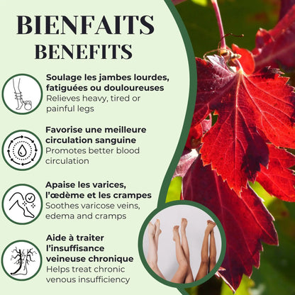 Infographie présentant les bienfaits de la vigne rouge : soulage les jambes lourdes et fatiguées, favorise une meilleure circulation sanguine, apaise les varices, l’œdème et les crampes, et aide à traiter l’insuffisance veineuse chronique.