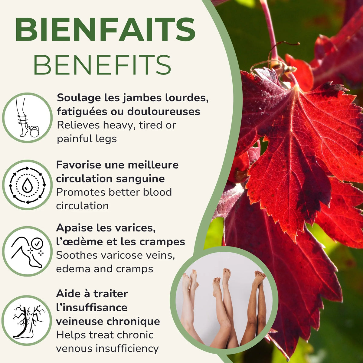 Bienfaits de la Vigne Rouge Phytovie : soulage les jambes lourdes, favorise la circulation, apaise les varices, aide l'insuffisance veineuse