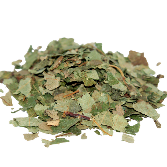 Bouleau | 1 KG